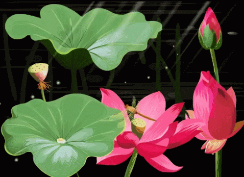 Lovely Flowers GIF - Lovely Flowers Nature GIFs