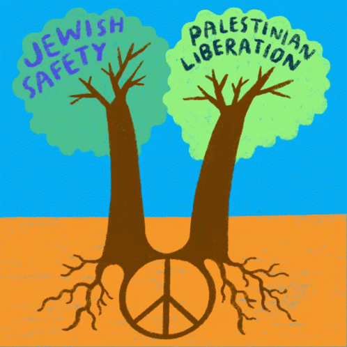 Jewish Safety Palestinian Liberation GIF - Jewish Safety Palestinian Liberation Peace GIFs