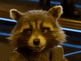 a close up of a raccoon wearing a jacket with its mouth open