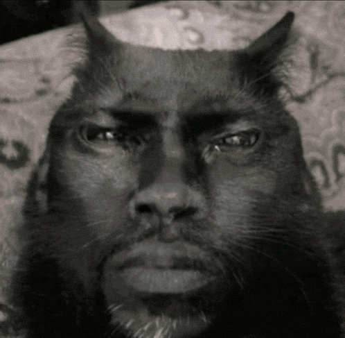 a black and white photo of a cat with a man 's face on it