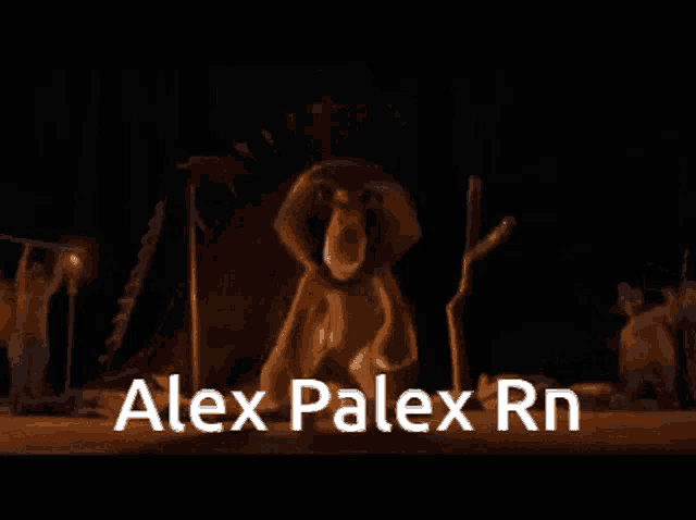alex palex rn is written in white on a black background