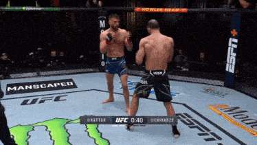 two men are fighting in a ufc ring with a howler head banner in the background