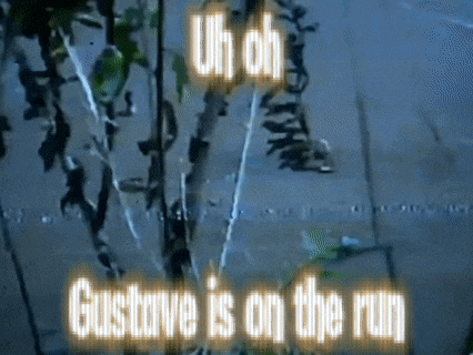 a sign that says gustave is on the run in front of a tree