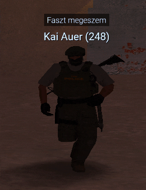 a video game character with the name kai auer ( 248 ) on it
