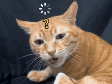 a cat has a question mark on its head
