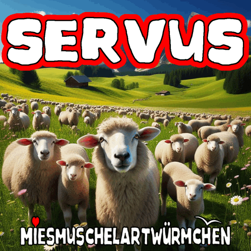 Servus Hallo GIF - Servus Hallo GIFs