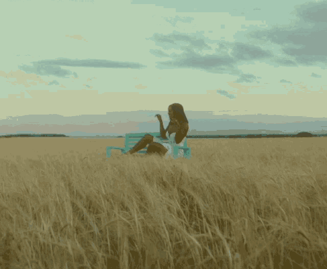 a woman sits on a blue bench in a field of wheat