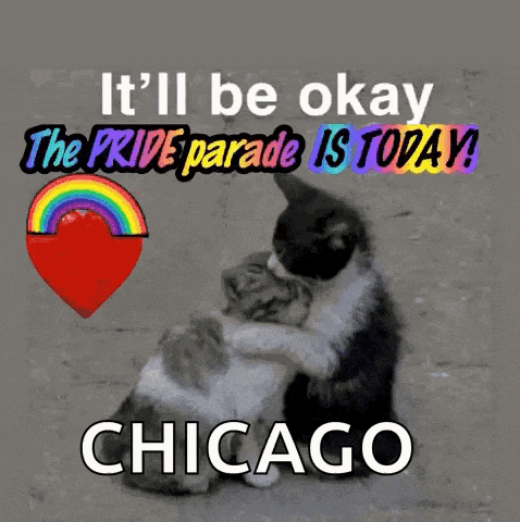 a picture of two cats hugging with the words it 'll be okay the pride parade is today chicago on the bottom