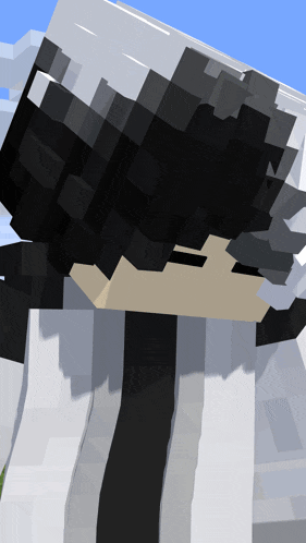 a close up of a minecraft character 's face