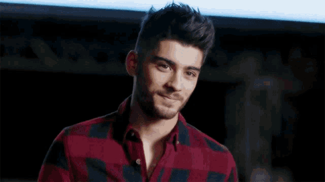 a young man with a beard is wearing a red and black plaid shirt and smiling .