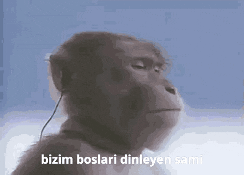 a monkey wearing headphones says " bizim boslari dinleyen sami "