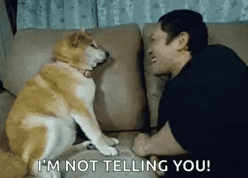 a man is sitting on a couch talking to a dog that is sitting on his lap .