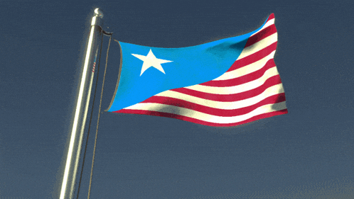 a blue white and red flag with a white star
