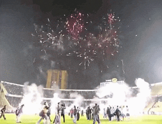 a group of people standing on a field watching fireworks