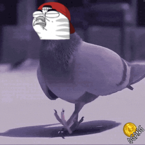 a pigeon with a cartoon face on its head and the word gang on the bottom right