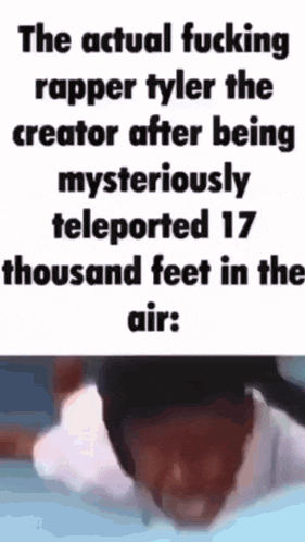 the actual rapper tyler the creator after beingmysteriously teleported 17 thousand feet in the air :