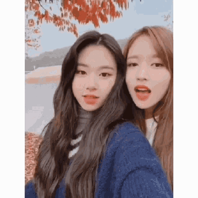 two young women are taking a selfie together while standing next to each other in front of a tree .