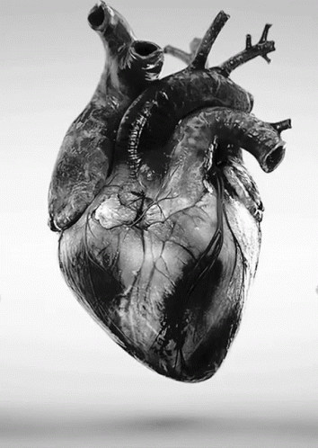 Black Heart GIF - Black Heart Blackheart GIFs