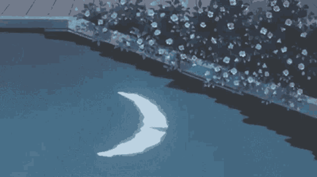 a crescent moon is reflected in the water of a swimming pool at night .
