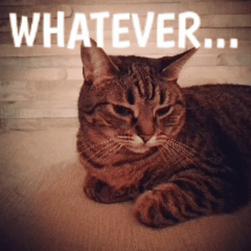Pissed Whateverby GIF - Pissed Whateverby Overit GIFs