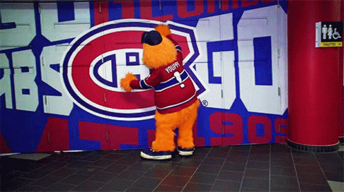 Montreal Canadiens Youppi GIF - Montreal Canadiens Youppi Go Habs Go GIFs