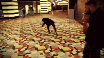 a man smoking a cigarette stands next to a dog on a colorful carpet
