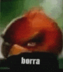a close up of a person 's face with the words `` borra '' written on the bottom .