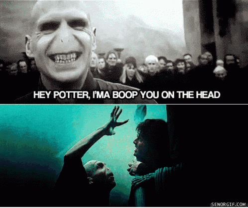 a harry potter meme with voldemort saying hey potter im a boop you on the head