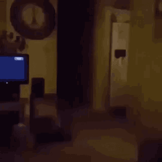 a person is walking through a dark room with a tv in the background .