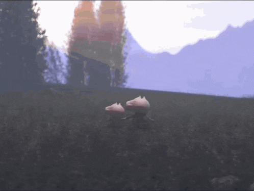 a couple of pigs standing in a grassy field