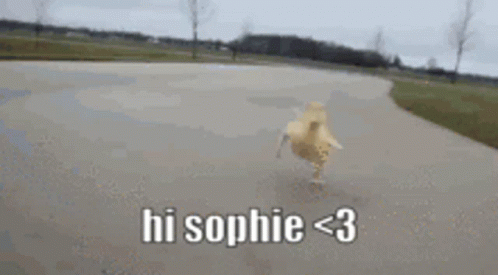 Hi Sophie Sophie GIF - Hi Sophie Sophie Hi GIFs