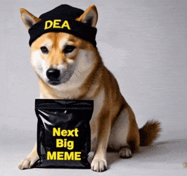 a dog wearing a dea hat sits next to a bag of next big meme