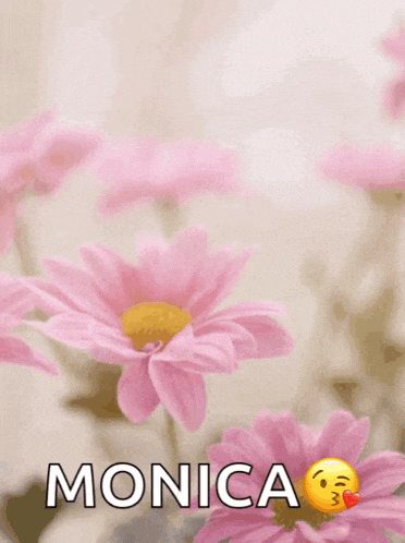 a happy mother 's day greeting card with pink flowers and the name monica
