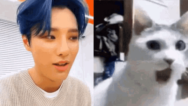 a man with blue hair and a cat with a bow tie