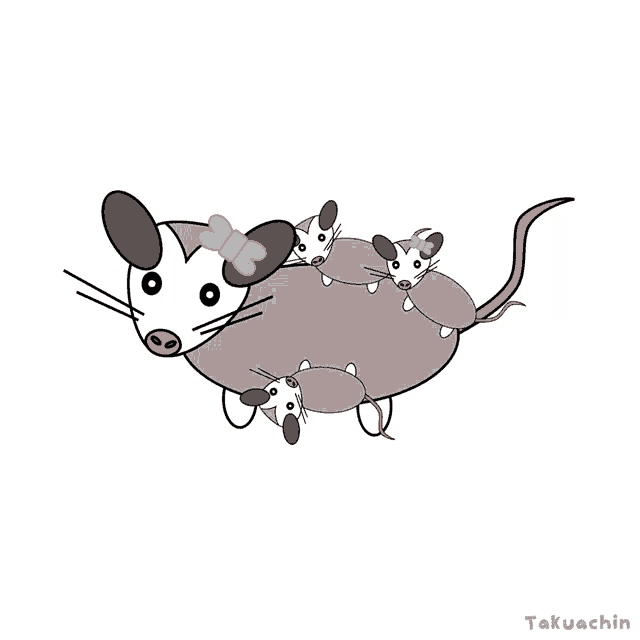 a cartoon drawing of an opossum carrying her babies
