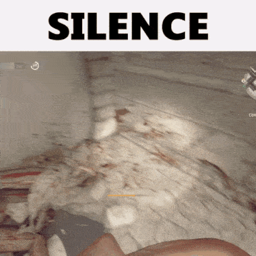 a screenshot of a video game with the words silence above it