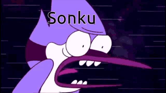 a cartoon character with the word sonku on his head