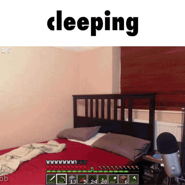 Cleeping Sleeping GIF - Cleeping Sleeping Sleep GIFs