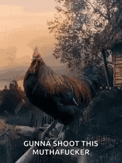 a rooster is standing on a tree branch in front of a house and trees .