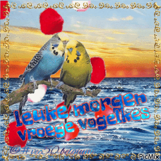 a couple of birds sitting on a branch with the words " leuke morgen "