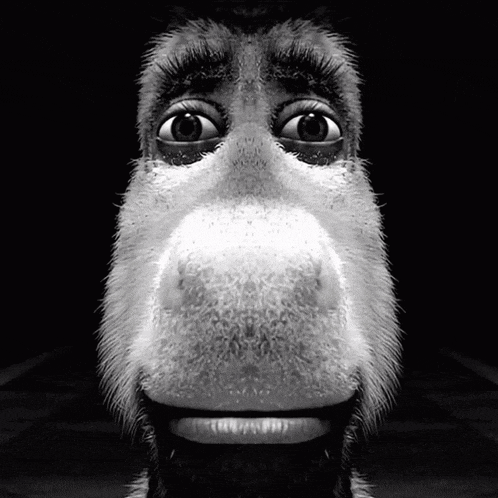 a close up of a donkey 's face with a beard