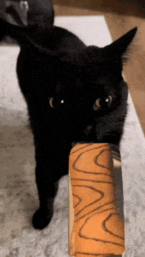 a black cat is holding a piece of bread in its mouth ..