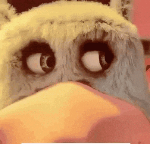 a close up of a stuffed animal 's eyes