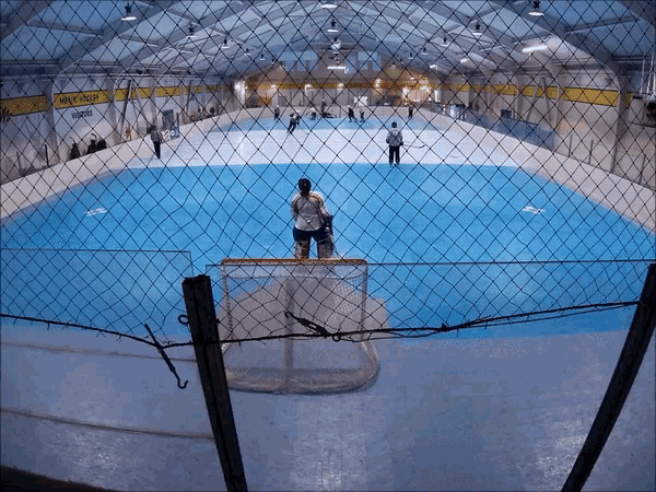 Hockey Goal GIF - Hockey Goal Sports GIFs