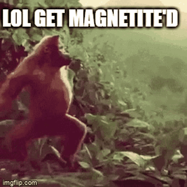 Monkey Magnetited GIF - Monkey Magnetited GIFs