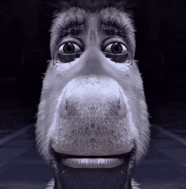 a close up of a donkey 's face with a black background