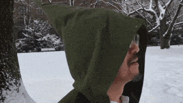 a man with a beard wearing a green hooded jacket in the snow