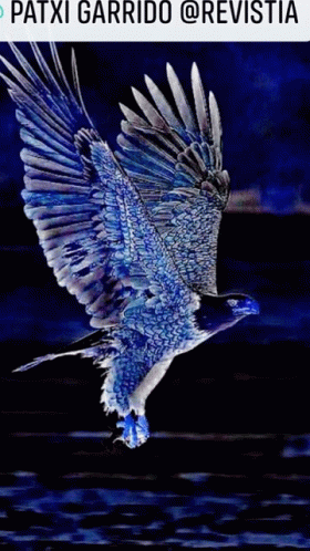 Eagle Blue Revistia Garrido GIF - Eagle Blue Revistia Garrido GIFs