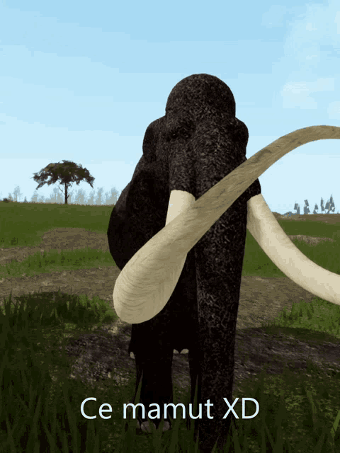 a computer generated image of a mammoth with the words ce mamut xd above it