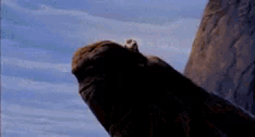 a lion is sitting on top of a rock in the middle of a mountain .